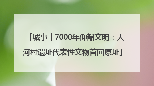 城事｜7000年仰韶文明：大河村遗址代表性文物首回原址