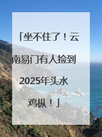 坐不住了！云南易门有人捡到2025年头水鸡枞！