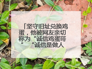 坚守旧址兑换鸡蛋，他被网友亲切称为“诚信鸡蛋哥” “诚信是做人的根本，我不能让人戳脊梁骨”