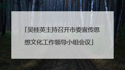 吴桂英主持召开市委宣传思想文化工作领导小组会议
