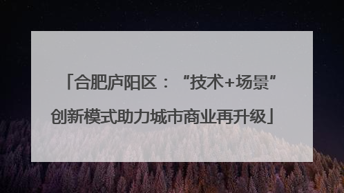 合肥庐阳区：“技术+场景”创新模式助力城市商业再升级