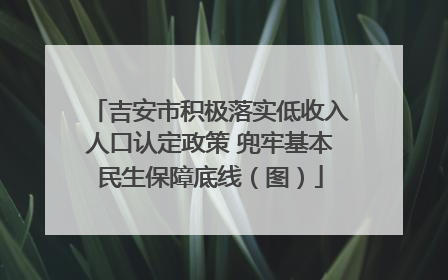 吉安市积极落实低收入人口认定政策 兜牢基本民生保障底线（图）