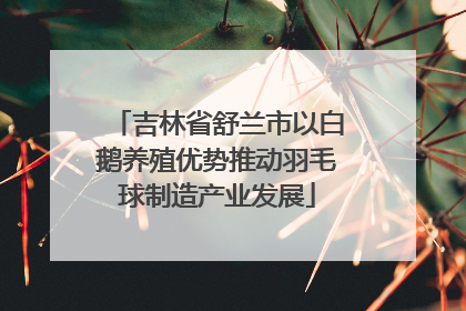吉林省舒兰市以白鹅养殖优势推动羽毛球制造产业发展