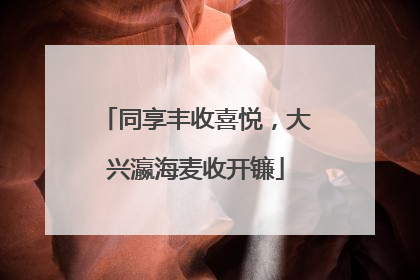 同享丰收喜悦，大兴瀛海麦收开镰