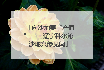 向沙地要“产值”——辽宁科尔沁沙地兴绿见闻