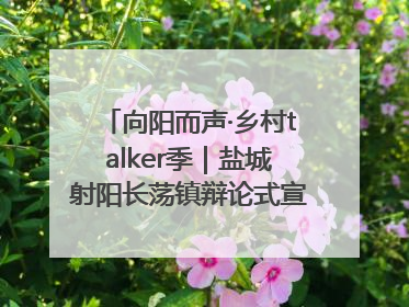 向阳而声·乡村talker季｜盐城射阳长荡镇辩论式宣讲有看头有热度