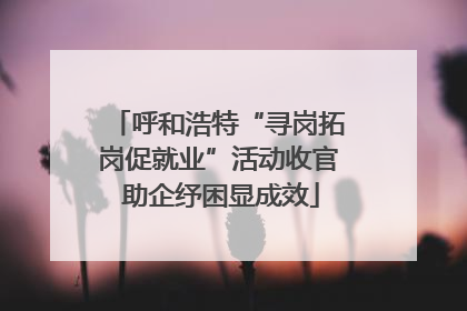 呼和浩特“寻岗拓岗促就业”活动收官 助企纾困显成效