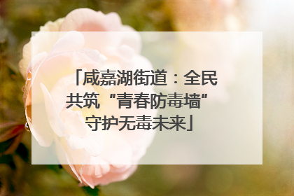 咸嘉湖街道：全民共筑“青春防毒墙” 守护无毒未来