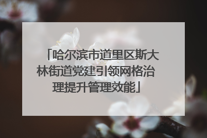 哈尔滨市道里区斯大林街道党建引领网格治理提升管理效能
