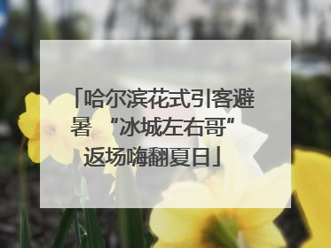 哈尔滨花式引客避暑 “冰城左右哥”返场嗨翻夏日