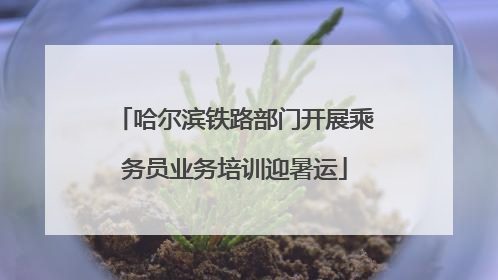 哈尔滨铁路部门开展乘务员业务培训迎暑运