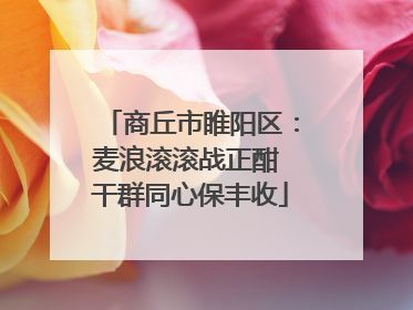 商丘市睢阳区：麦浪滚滚战正酣 干群同心保丰收