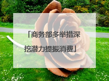 商务部多举措深挖潜力提振消费