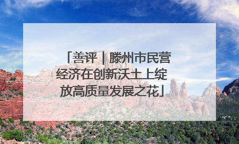 善评｜滕州市民营经济在创新沃土上绽放高质量发展之花