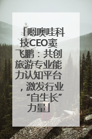 嗯噢哇科技CEO窦飞鹏：共创旅游专业能力认知平台，激发行业“自生长”力量