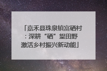 嘉禾县珠泉镇富硒村：深耕“硒”望田野 激活乡村振兴新动能