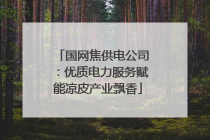 国网焦供电公司：优质电力服务赋能凉皮产业飘香