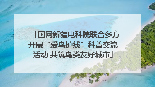 国网新疆电科院联合多方开展“爱鸟护线”科普交流活动 共筑鸟类友好城市