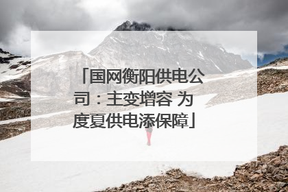 国网衡阳供电公司：主变增容 为度夏供电添保障