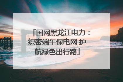 国网黑龙江电力：织密端午保电网 护航绿色出行路