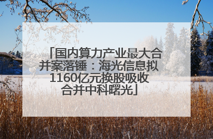 国内算力产业最大合并案落锤：海光信息拟1160亿元换股吸收合并中科曙光