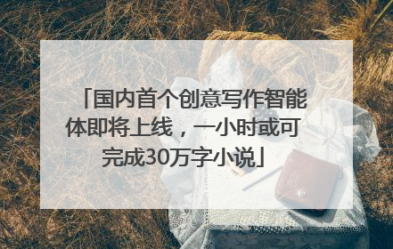 国内首个创意写作智能体即将上线，一小时或可完成30万字小说
