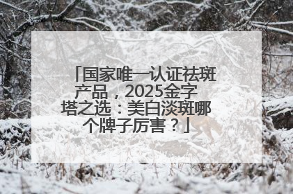 国家唯一认证祛斑产品，2025金字塔之选：美白淡斑哪个牌子厉害？