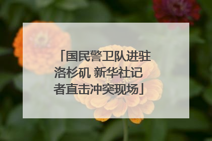 国民警卫队进驻洛杉矶 新华社记者直击冲突现场