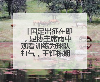 国足出征在即，足协主席雨中观看训练为球队打气，王钰栋期待全力冲击印尼队