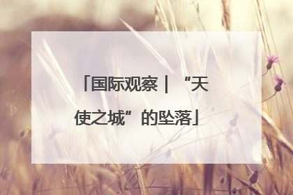 国际观察｜“天使之城”的坠落