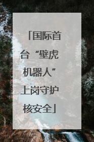 国际首台“壁虎机器人”上岗守护核安全