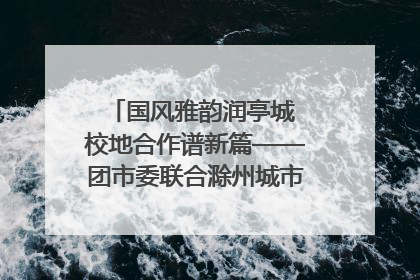 国风雅韵润亭城 校地合作谱新篇——团市委联合滁州城市职业学院助力传统文化“破圈”绽放