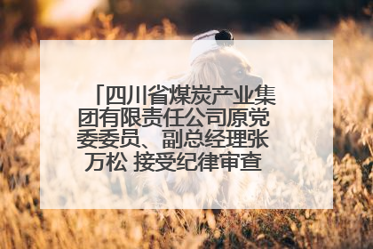 四川省煤炭产业集团有限责任公司原党委委员、副总经理张万松 接受纪律审查和监察调查