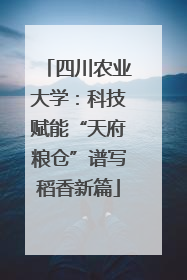 四川农业大学：科技赋能“天府粮仓”谱写稻香新篇