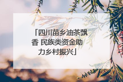 四川苗乡油茶飘香 民族类资金助力乡村振兴