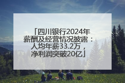 四川银行2024年薪酬及经营情况披露：人均年薪33.2万，净利润突破20亿