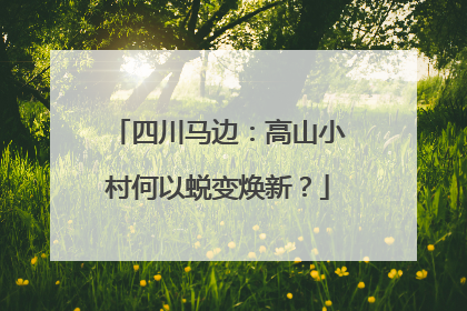四川马边：高山小村何以蜕变焕新？