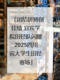 团结拼搏创佳绩 宜宾学院田径队闪耀2025四川省大学生田径赛场