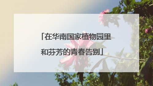 在华南国家植物园里和芬芳的青春告别