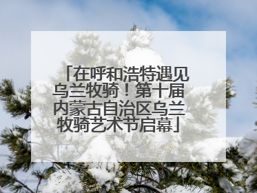 在呼和浩特遇见乌兰牧骑！第十届内蒙古自治区乌兰牧骑艺术节启幕