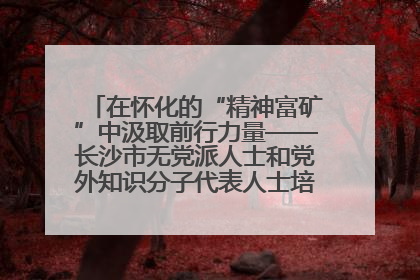 在怀化的“精神富矿”中汲取前行力量——长沙市无党派人士和党外知识分子代表人士培训班在怀化圆满举办