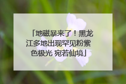 地磁暴来了！黑龙江多地出现罕见粉紫色极光 宛若仙境