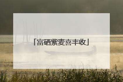 富硒紫麦喜丰收