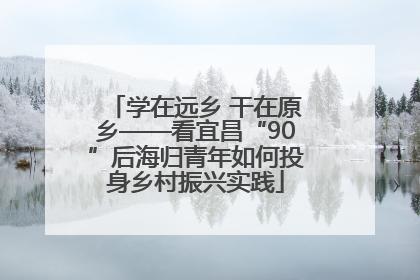 学在远乡 干在原乡——看宜昌“90”后海归青年如何投身乡村振兴实践