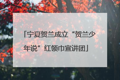 宁夏贺兰成立“贺兰少年说”红领巾宣讲团