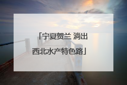 宁夏贺兰 淌出西北水产特色路