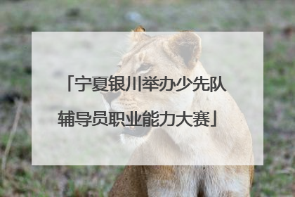 宁夏银川举办少先队辅导员职业能力大赛