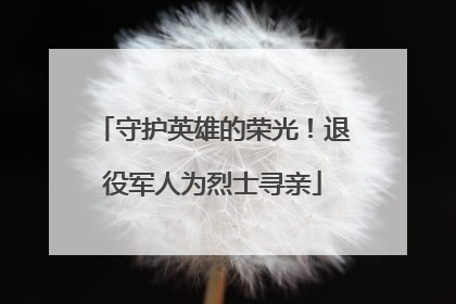 守护英雄的荣光！退役军人为烈士寻亲