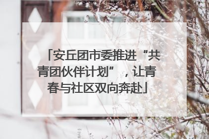 安丘团市委推进“共青团伙伴计划”，让青春与社区双向奔赴