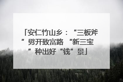 安仁竹山乡：“三板斧”劈开致富路 “新三宝”种出好“钱”景